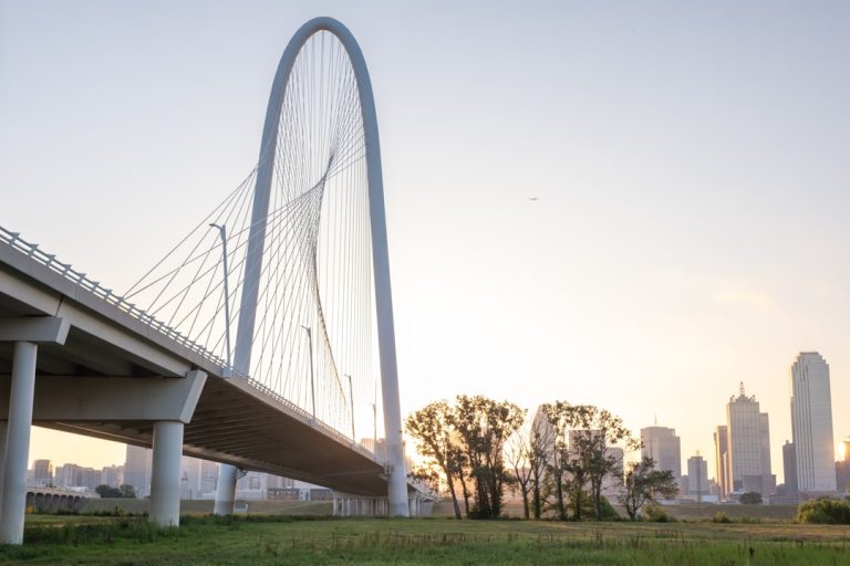 Dallas Beyond the Sprawl: A Food, Art, and Neighborhood Guide for Curious Travelers