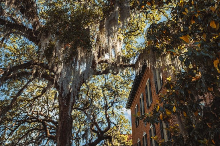 Savannah Square by Square: An Unhurried Guide to America’s Most Walkable City