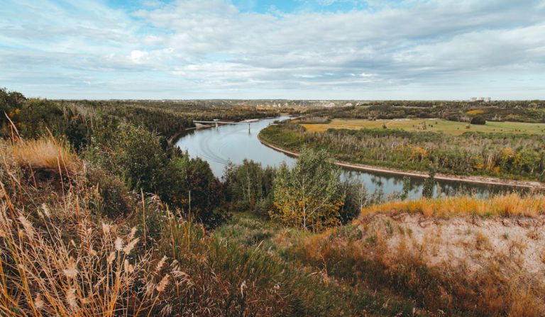 Edmonton Surprised Us: River Trails, Perogies, and a Prairie Arts Revival