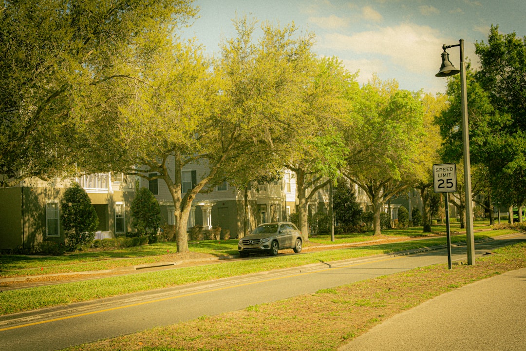 Wide tree-lined street in Mobile Alabama's Oakleigh Garden Historic District