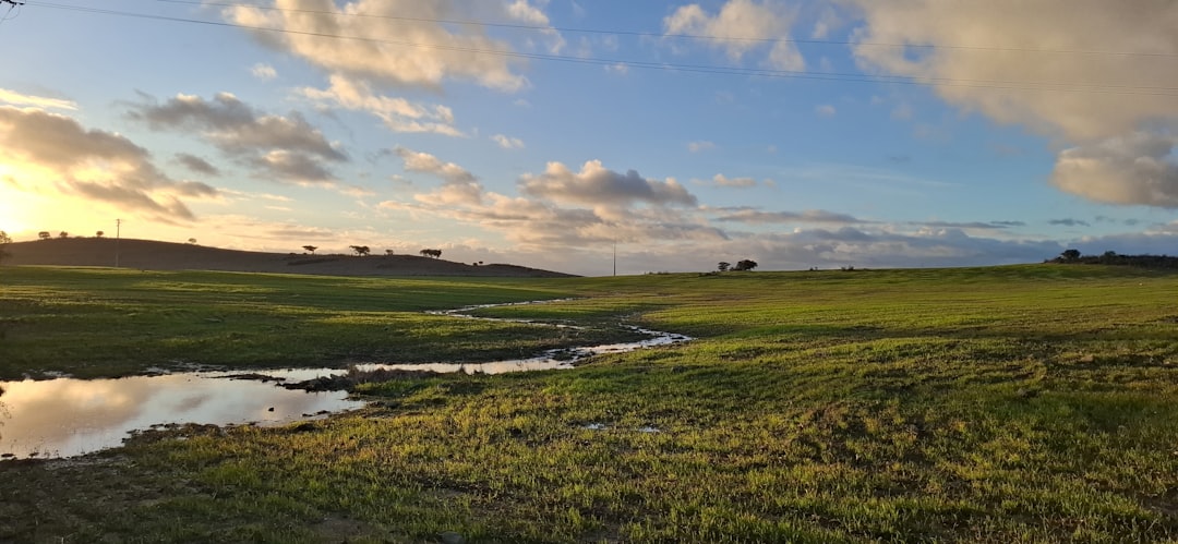 Brandywine Valley landscape in autumn with golden light over rolling hills and creek near Wilmington Delaware