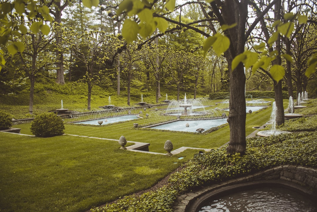Longwood Gardens Festival of Fountains display at the Open Air Theatre with water jets and summer evening light