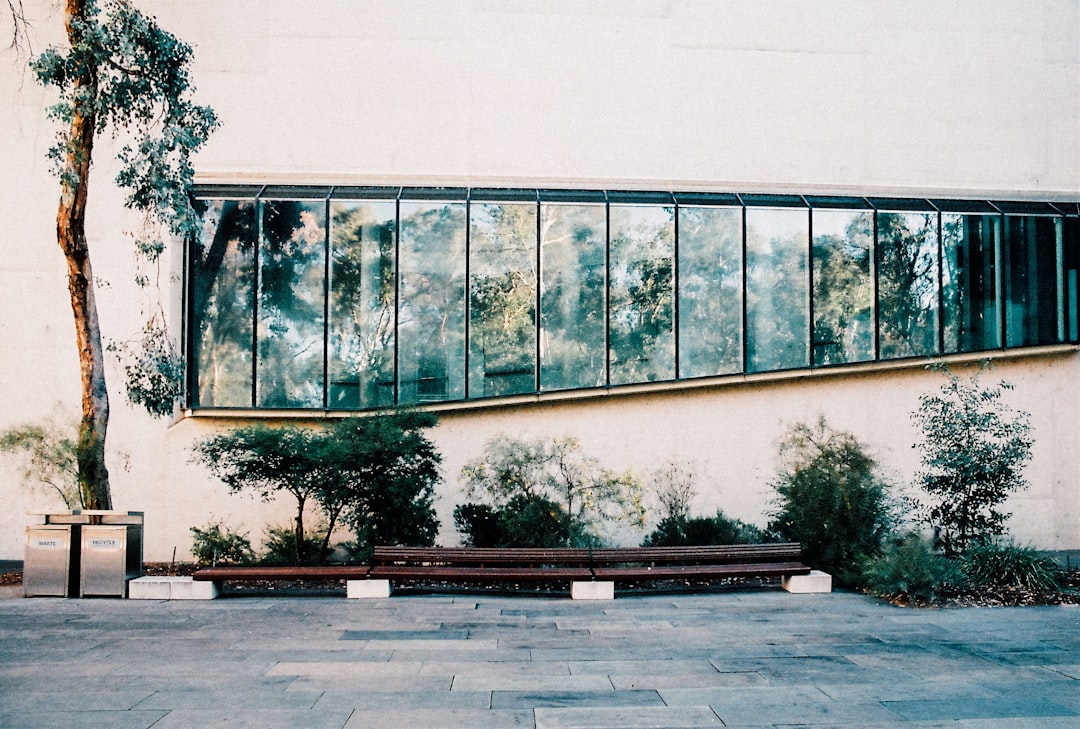 Interior of the National Gallery of Australia in Canberra with natural light and large-scale artworks