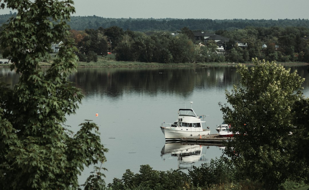 A boat on the water
