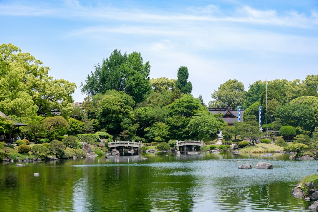 Two stone arched bridges over a pond in a lush Japanese garden in Kumamoto, Japan
