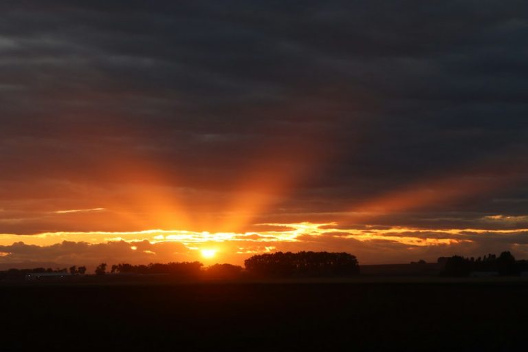 Silhouette of trees during sunset in Lethbridge, Alberta