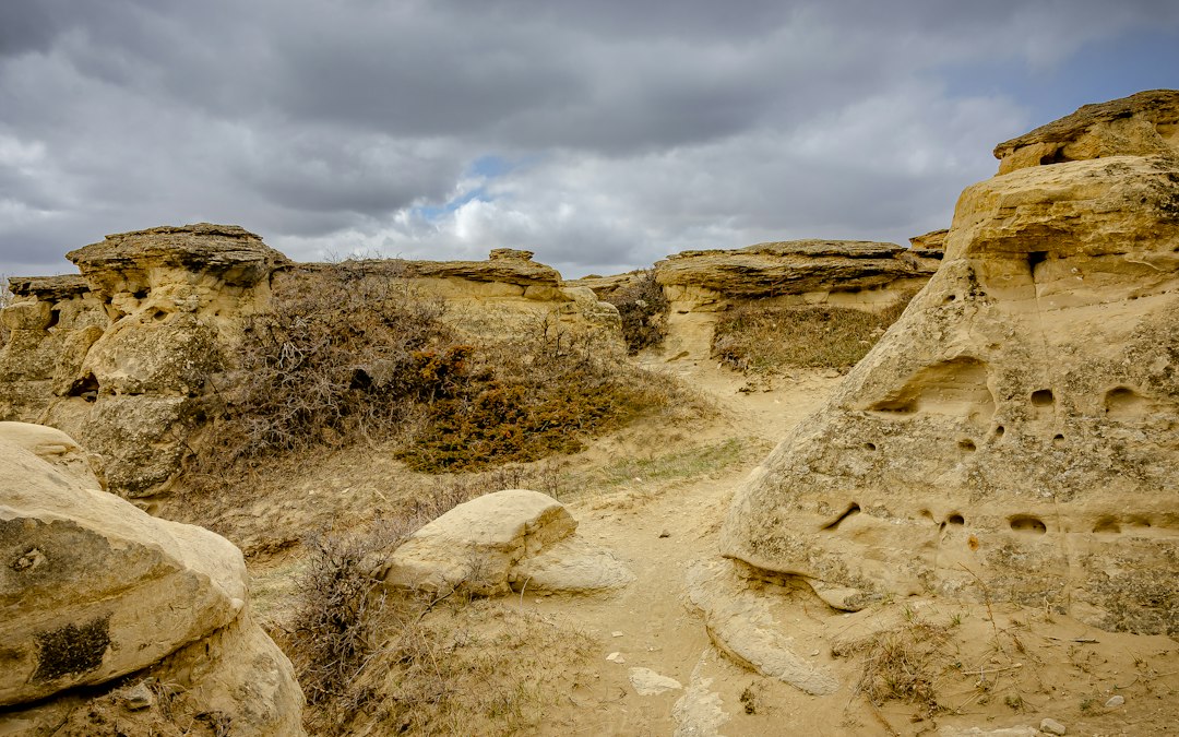 Rock formations in the desert under a cloudy sky at Writing-on-Stone Provincial Park