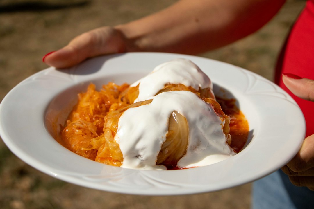 Plate of pan-fried pierogi topped with caramelized onions and a spoonful of sour cream