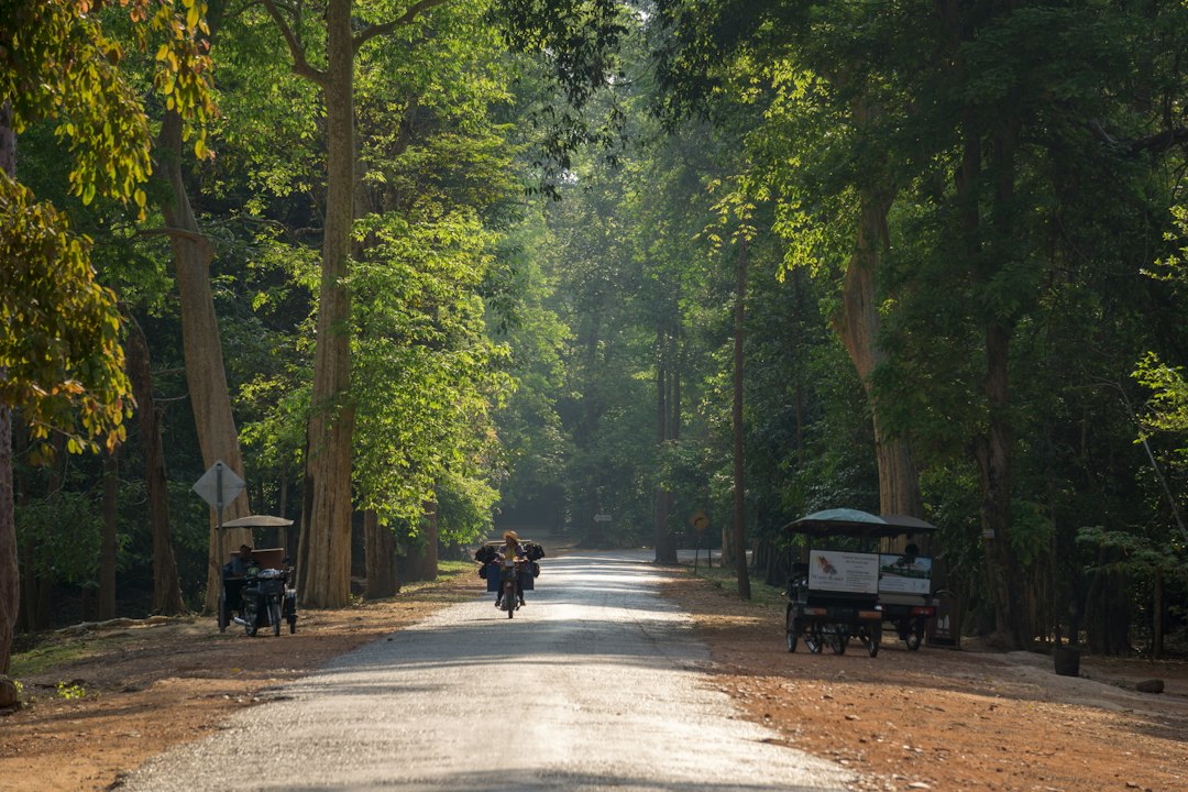 A person riding a bicycle down the middle of a road